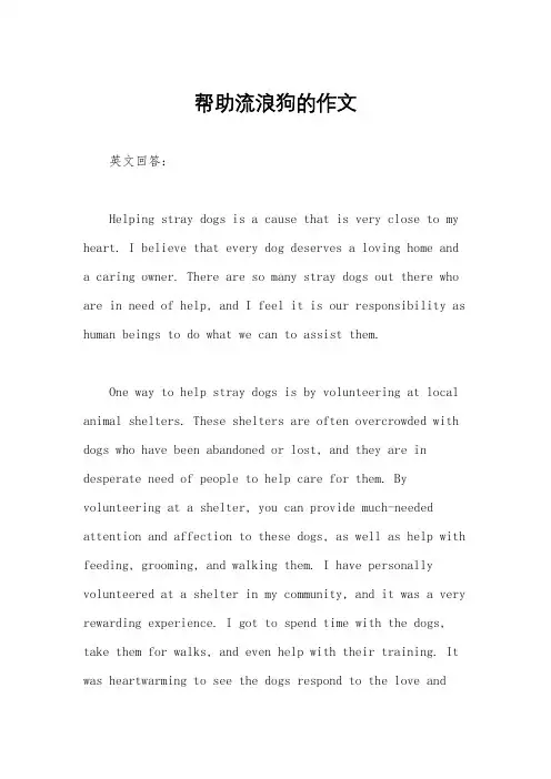 帮助流浪狗的作文