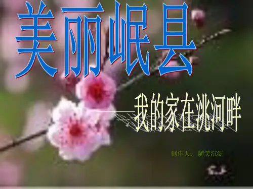 岷县介绍