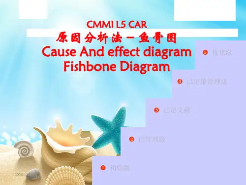 鱼骨图分析