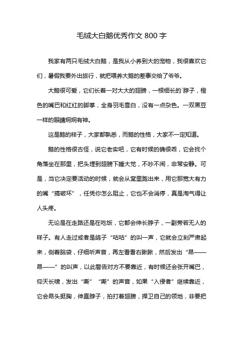 毛绒大白鹅优秀作文800字