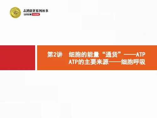 2018高考生物(新课标)一轮复习课件：第3单元 细胞的能量供应和利用3.2