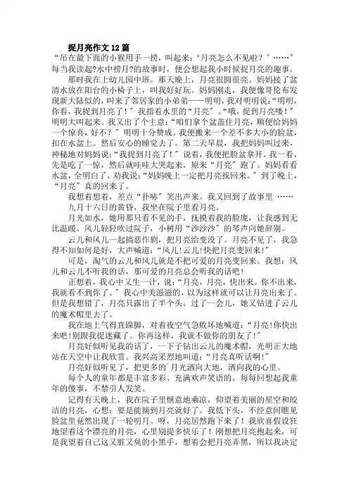 捉月亮作文12篇范文精选