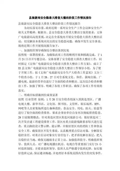县旅游局安全隐患大排查大整治阶段工作情况报告（精简篇）