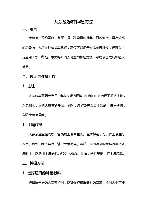 大蒜葱怎样种植方法