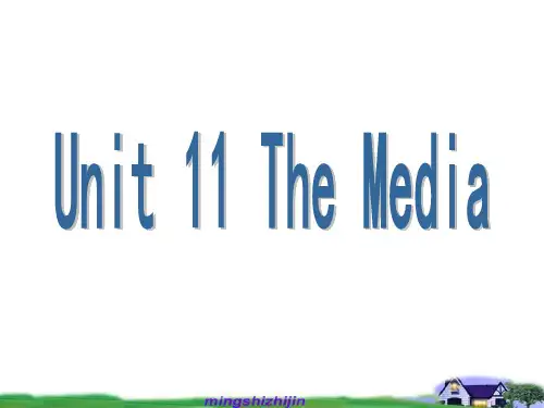 Unit 11 The Media   基础知识自测  2011名师指津课件(高考英语)
