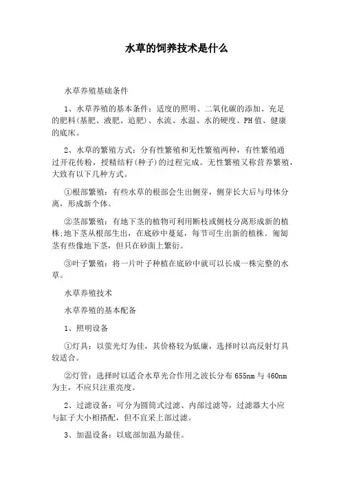 水草的饲养技术是什么