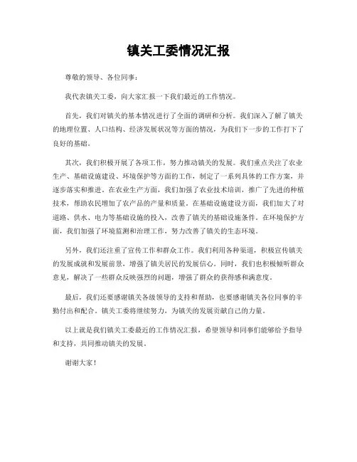 镇关工委情况汇报