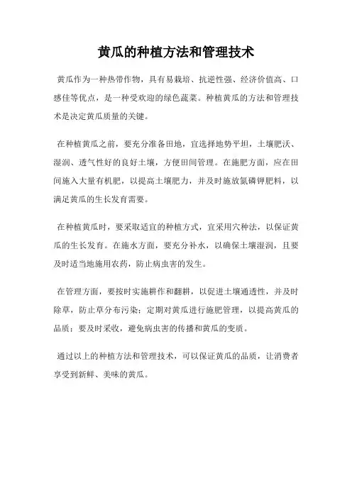 黄瓜的种植方法和管理技术