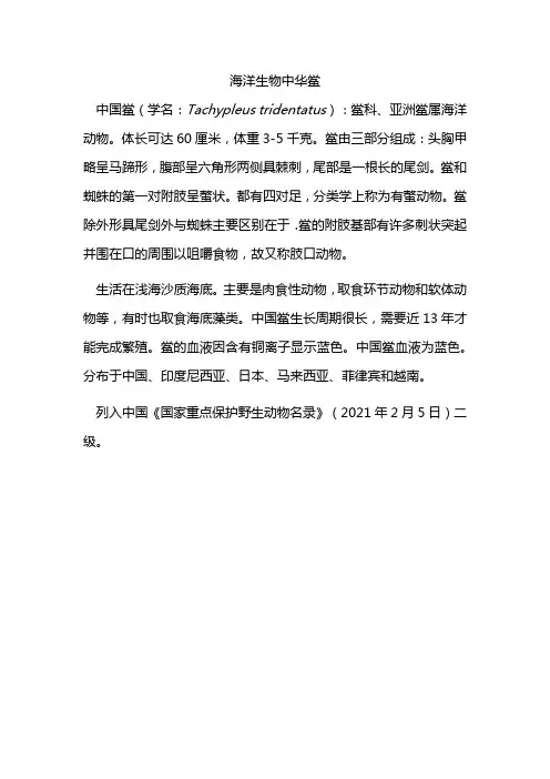 海洋生物中华鲎