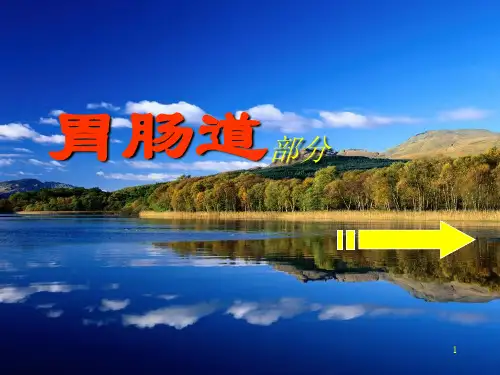胃肠道影像图片