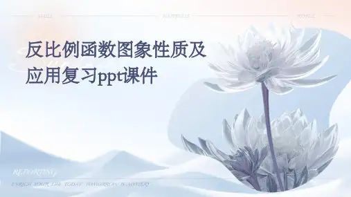 反比例函数图象性质及应用复习课件