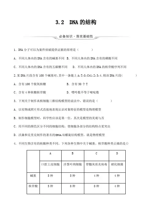 新教材高中生物人教版2019必修二 课时作业 DNA的结构(原卷版)