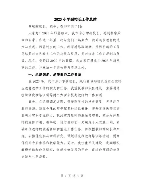 2023小学副校长工作总结