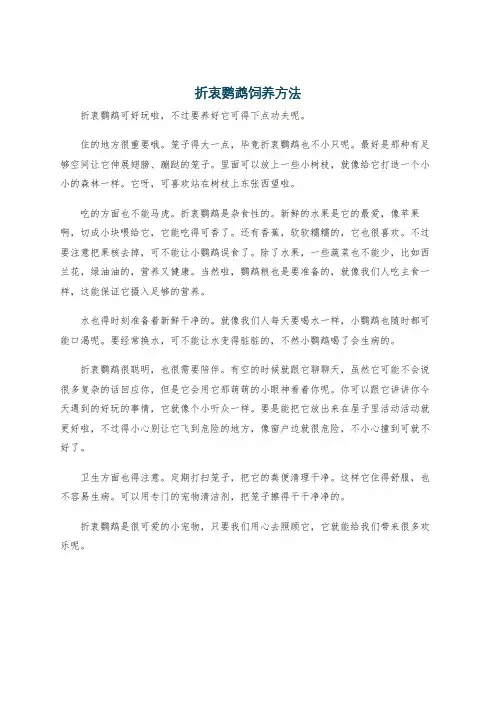 折衷鹦鹉饲养方法