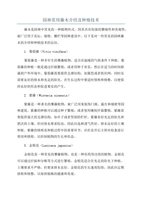 园林常用藤木介绍及种殖技术