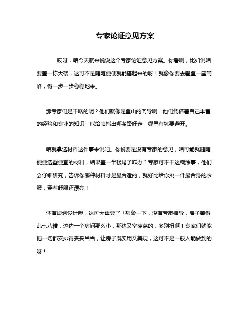 专家论证意见方案