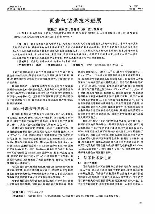 页岩气钻采技术进展