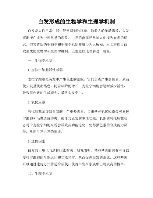 白发形成的生物学和生理学机制