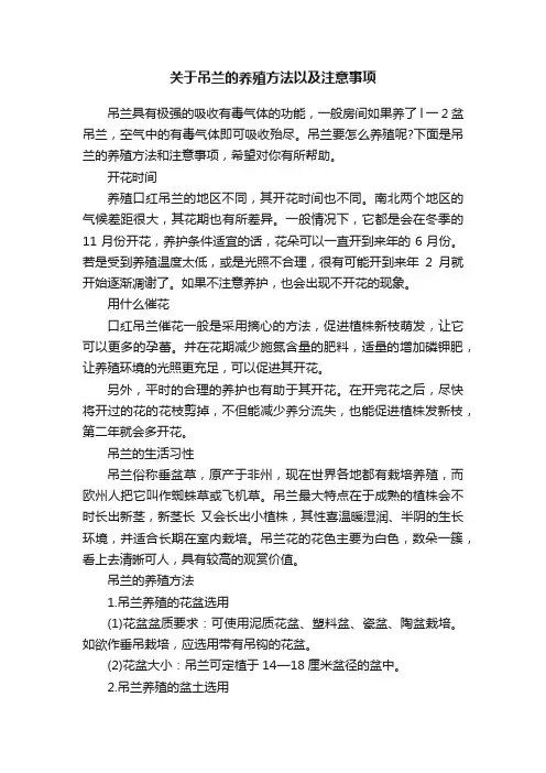 关于吊兰的养殖方法以及注意事项