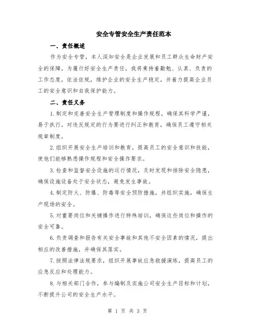 安全专管安全生产责任范本