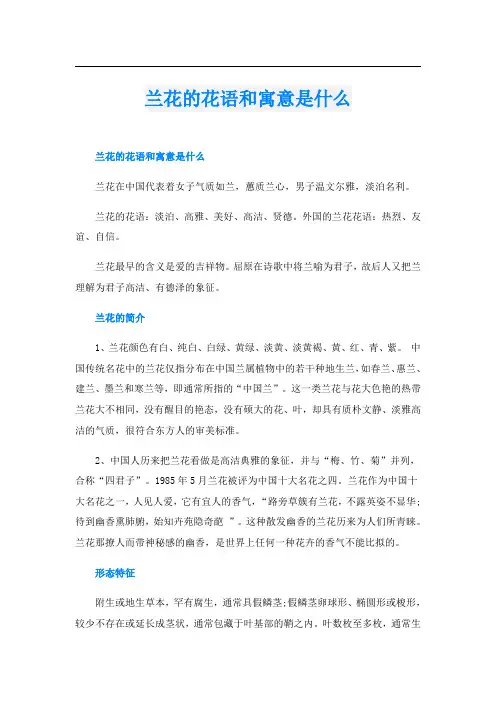 兰花的花语和寓意是什么