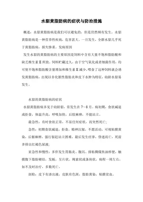 水貂黄脂肪病的症状与防治措施.doc
