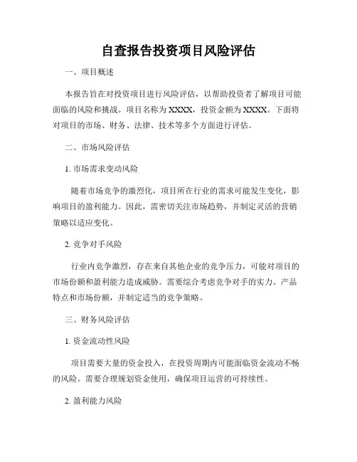 自查报告投资项目风险评估