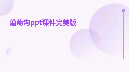 葡萄沟ppt课件完美版