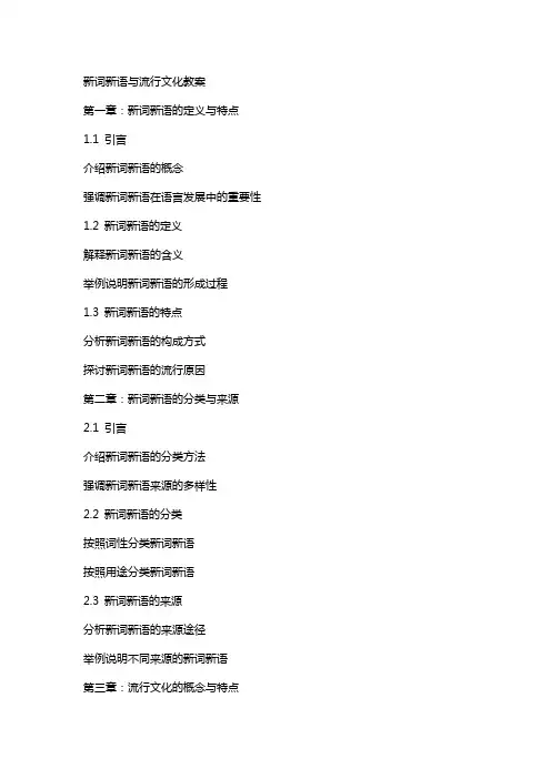 新词新语与流行文化教案