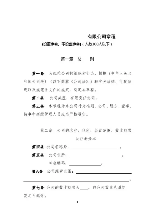 2024年新公司法公司章程(设董事会、不设监事会,人数300人以下)