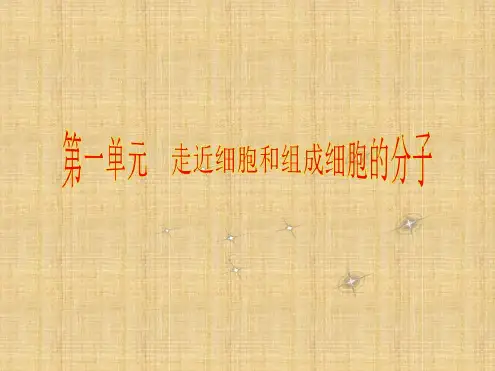 步步高高三生物一轮复习第一单元第3讲生命活动的主要承担名师优质课件新人教版必修2