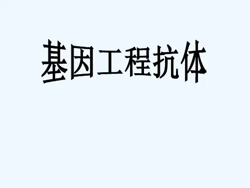 基因工程抗体演示文稿