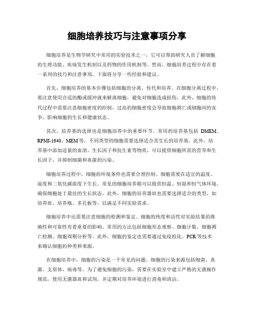 细胞培养技巧与注意事项分享