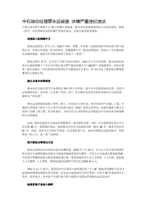 28中石油总经理廖永远被查 涉嫌严重违纪违法
