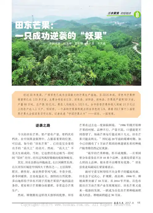 田东芒果：一只成功逆袭的“妖果”