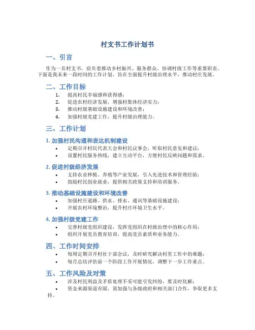 村支书工作计划书