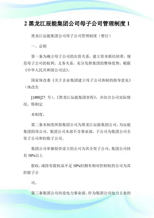 2黑龙江辰能集团公司母子公司管理制度1.doc