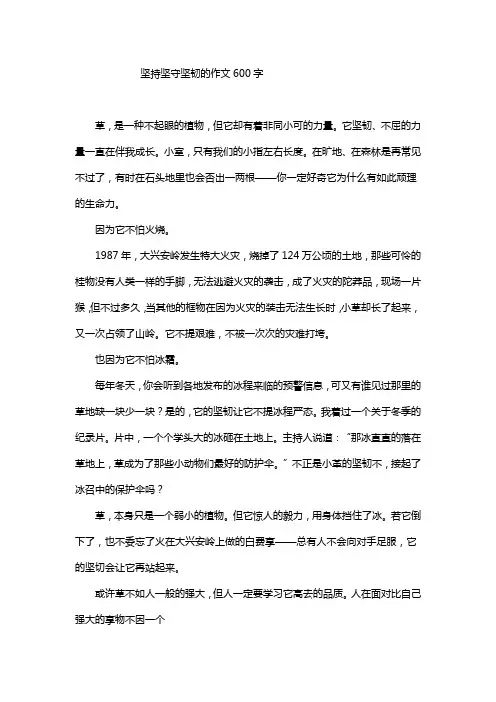 坚持坚守坚韧的作文600字