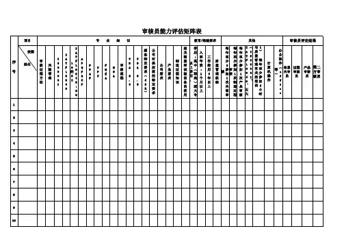 审核员能力评估矩阵表