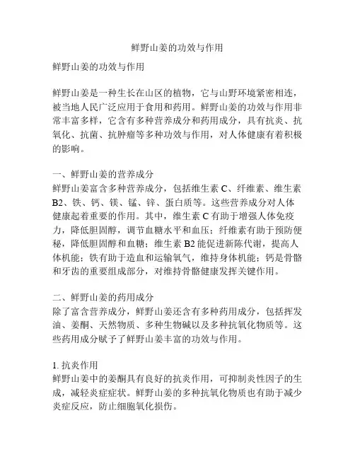 鲜野山姜的功效与作用