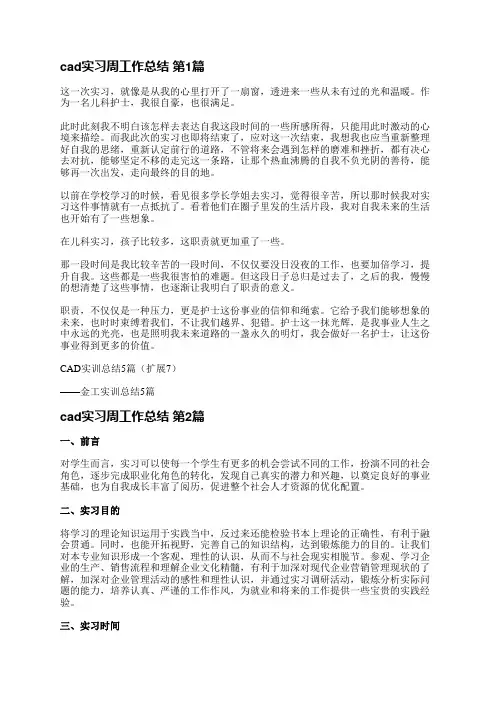 cad实习周工作总结(24篇)