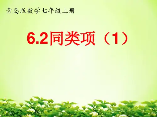 7-6-2 6.2同类项(1)(1)