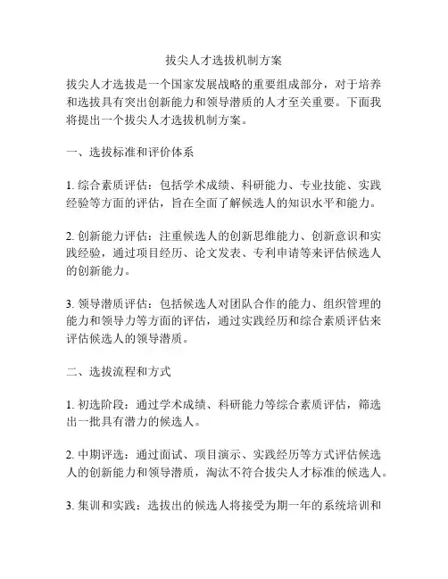 拔尖人才选拔机制方案