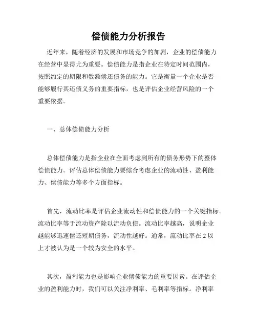 偿债能力分析报告