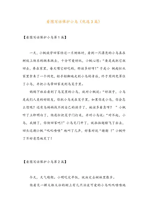 看图写话保护小鸟(优选3篇)
