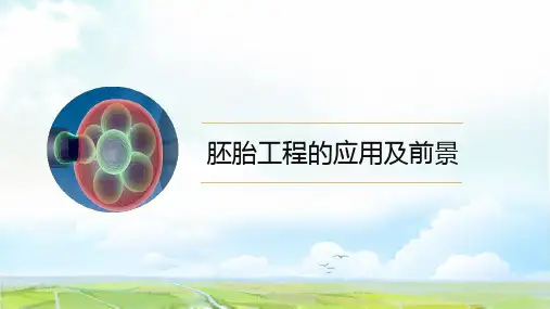高中生物选修3精品课件15：3.3 胚胎工程的应用及前景