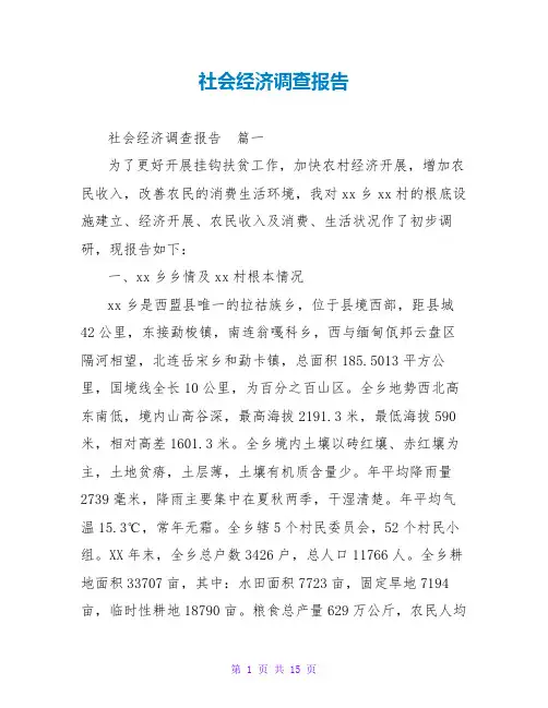 社会经济调查报告