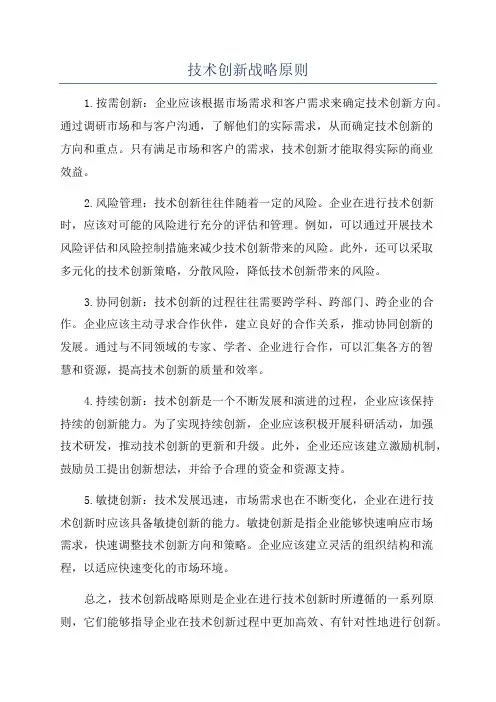 技术创新战略原则