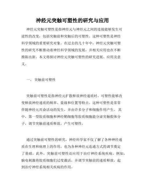 神经元突触可塑性的研究与应用