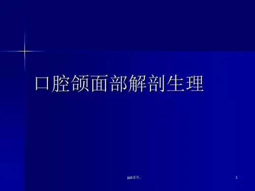 口腔颌面部解剖ppt课件